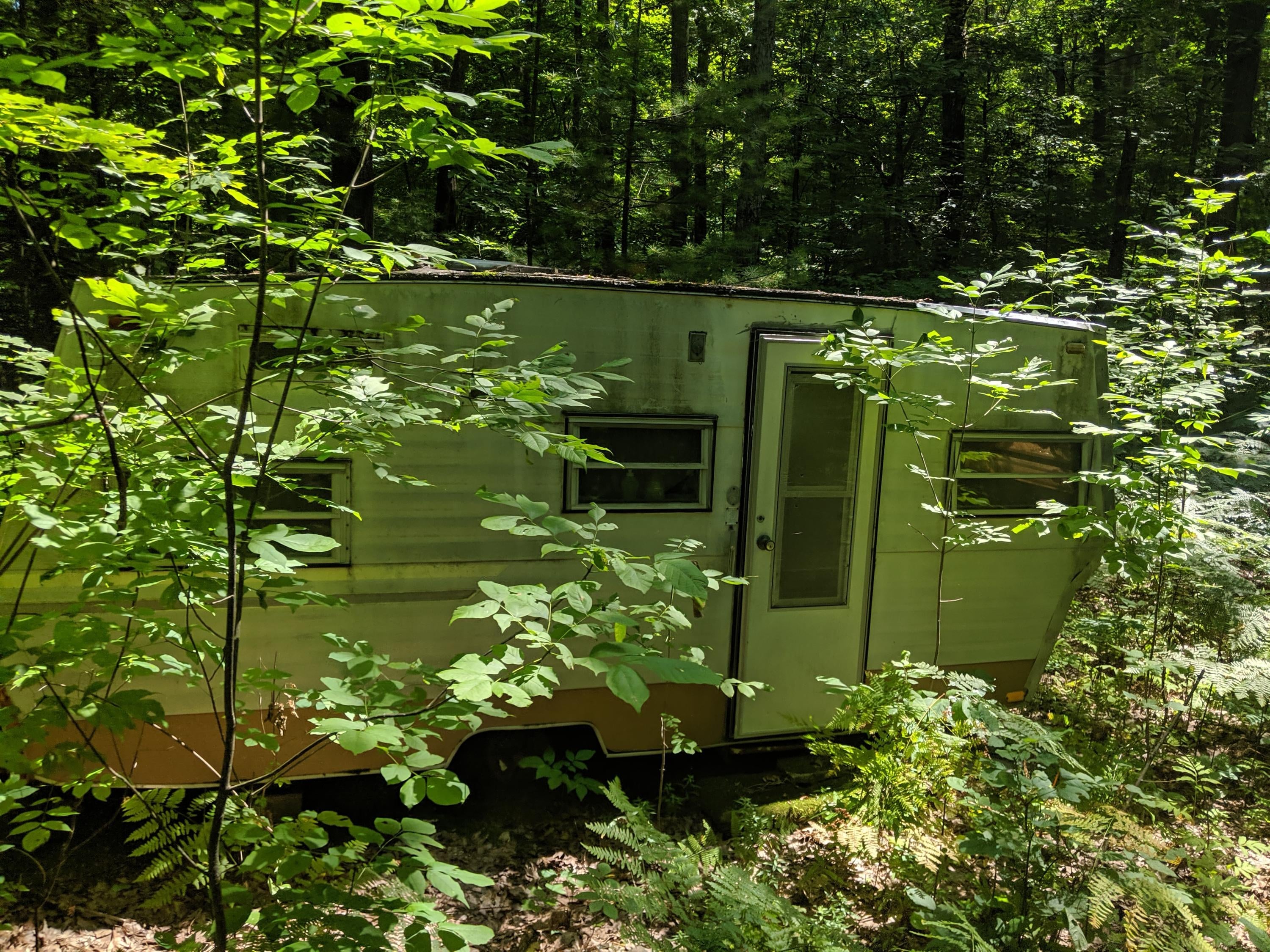 Hardy Grade Road Mio, MI 48647 - Photo 12 of 22 Gallery Image 12