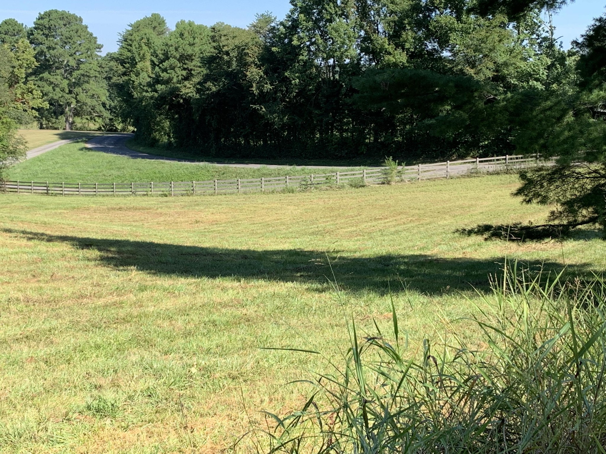 9 County Road 705 Riceville, TN 37370 - Photo 6 of 10 Gallery Image 6