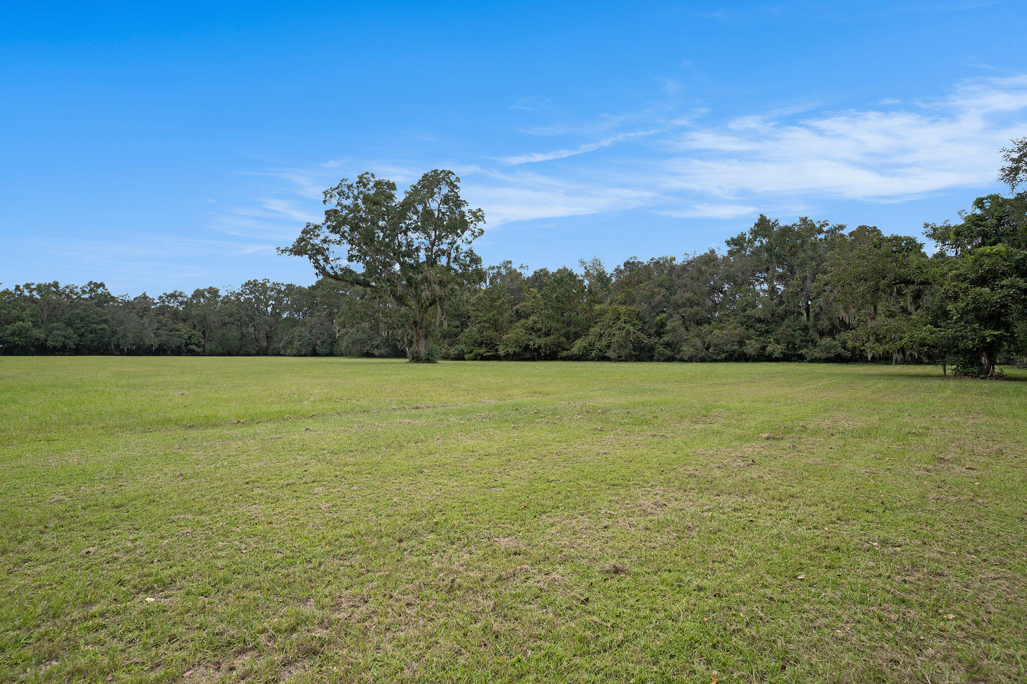 7817 Little Britton Road Meggett, SC 29449 - Photo 12 of 27 019_dsc05112_774