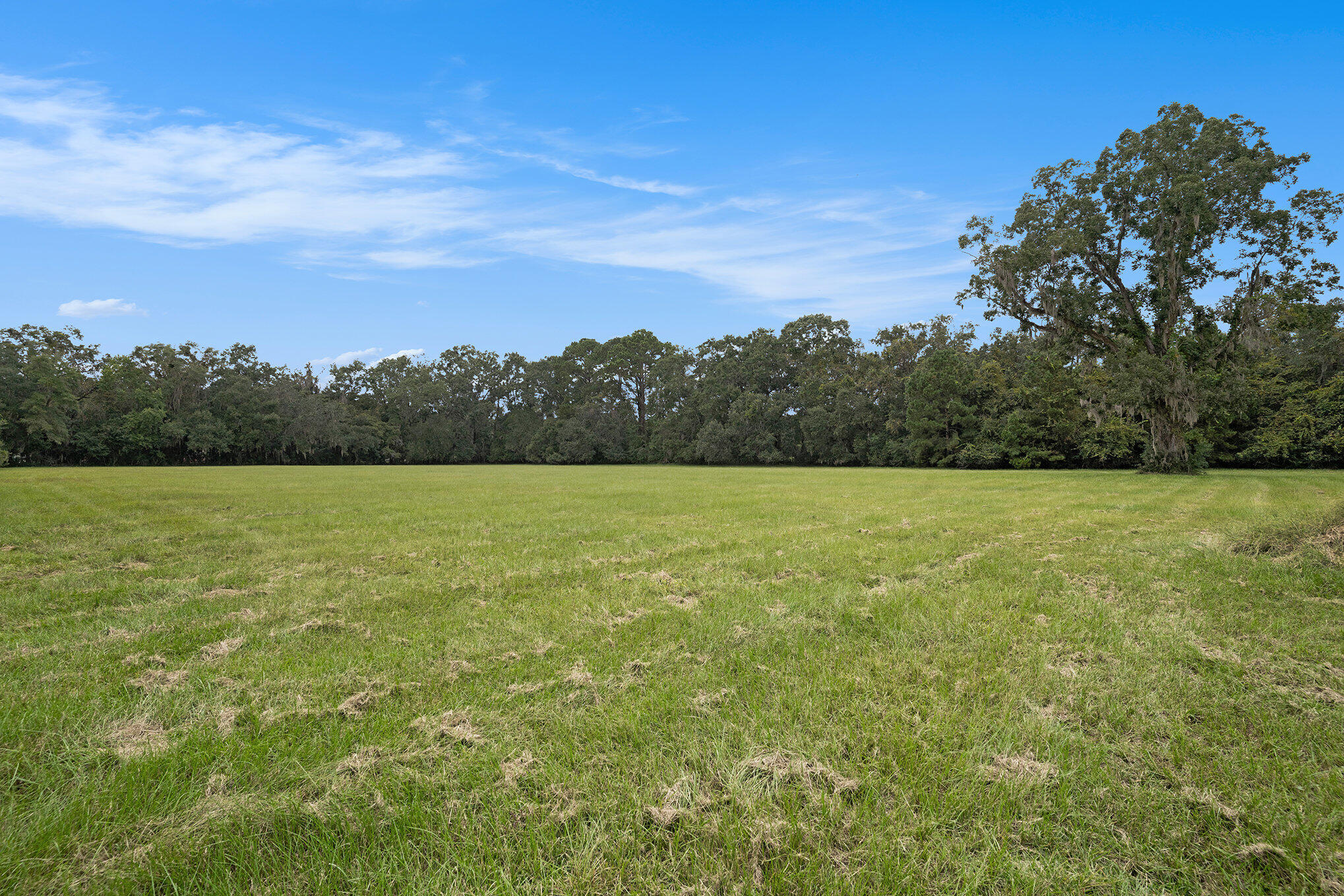 7817 Little Britton Road Meggett, SC 29449 - Photo 13 of 27 018_dsc05111_387