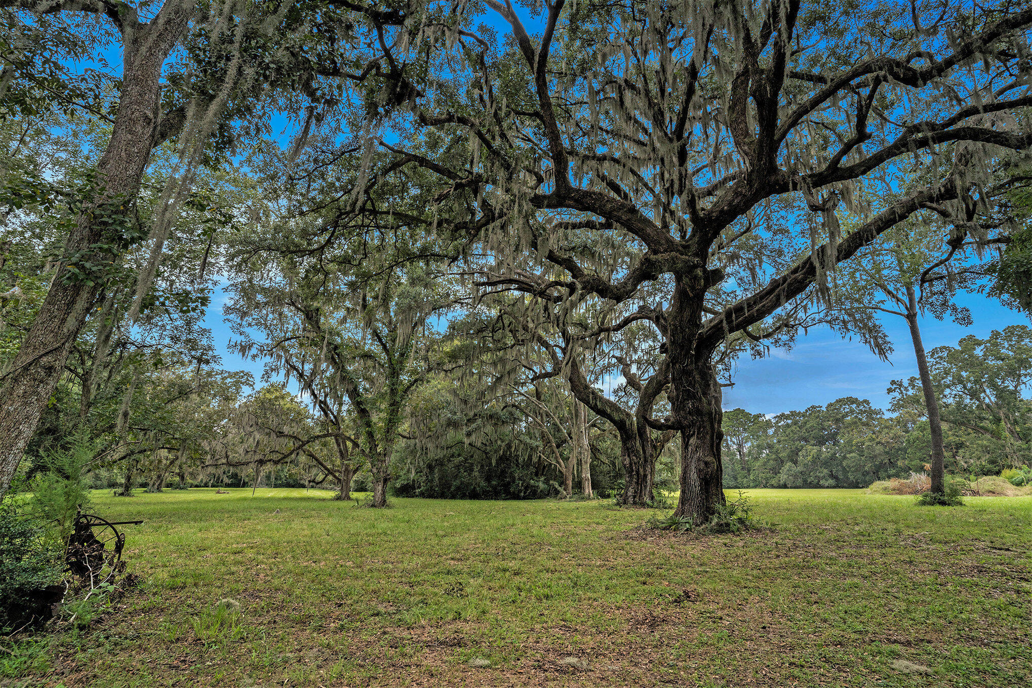 7817 Little Britton Road Meggett, SC 29449 - Photo 15 of 27 015_dsc05108_713