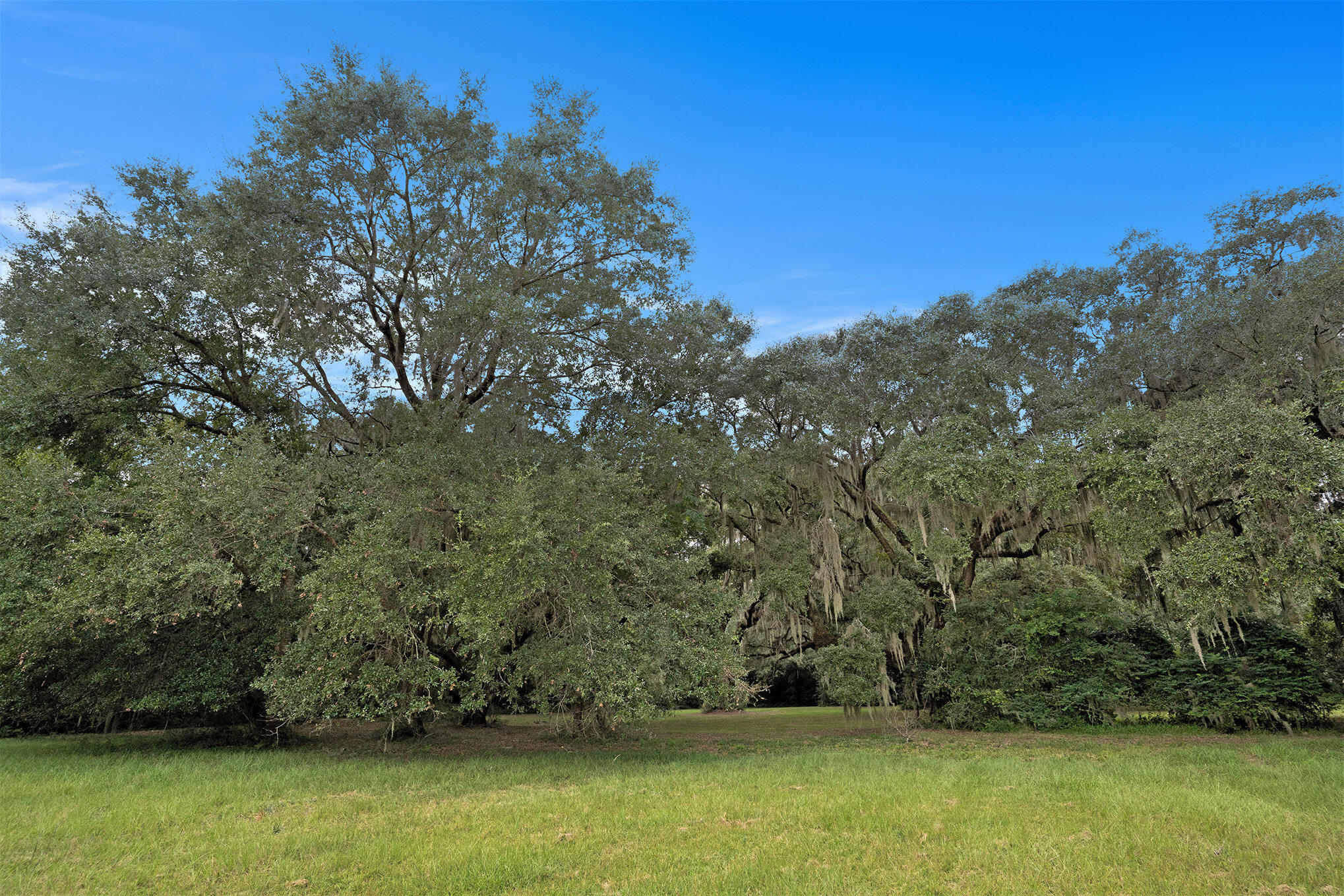 7817 Little Britton Road Meggett, SC 29449 - Photo 18 of 27 010_dsc05103_68