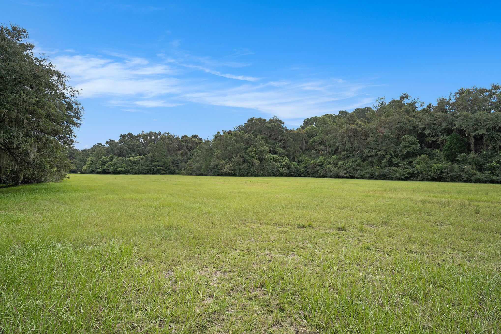7817 Little Britton Road Meggett, SC 29449 - Photo 20 of 27 008_dsc05101_775