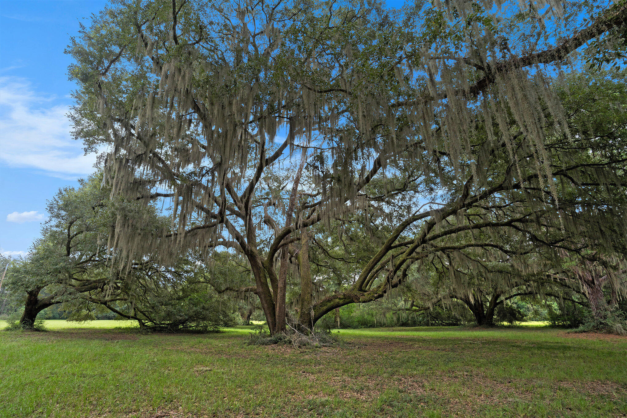 7817 Little Britton Road Meggett, SC 29449 - Photo 26 of 27 002_dsc05095_943