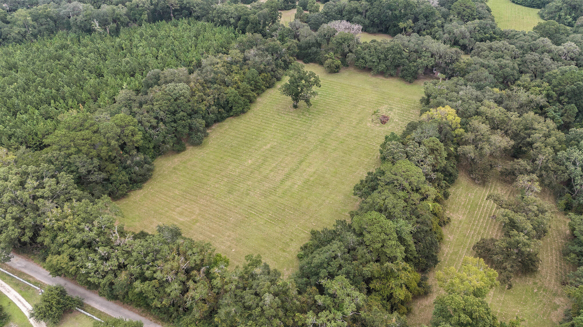 7817 Little Britton Road Meggett, SC 29449 - Photo 9 of 27 022_dji_20250911104856_0005_d_873