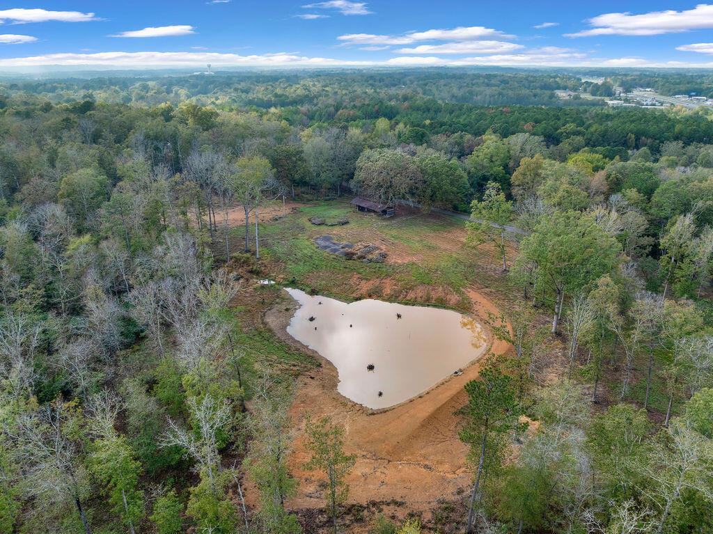 954 Evans Road Jasper, AL 35501 - Photo 3 of 19 DJI_20251021144815_0087_D