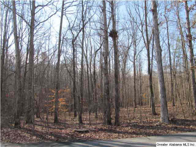 1 Signal Valley Trail Chelsea, AL 35043 - Photo 1 of 10