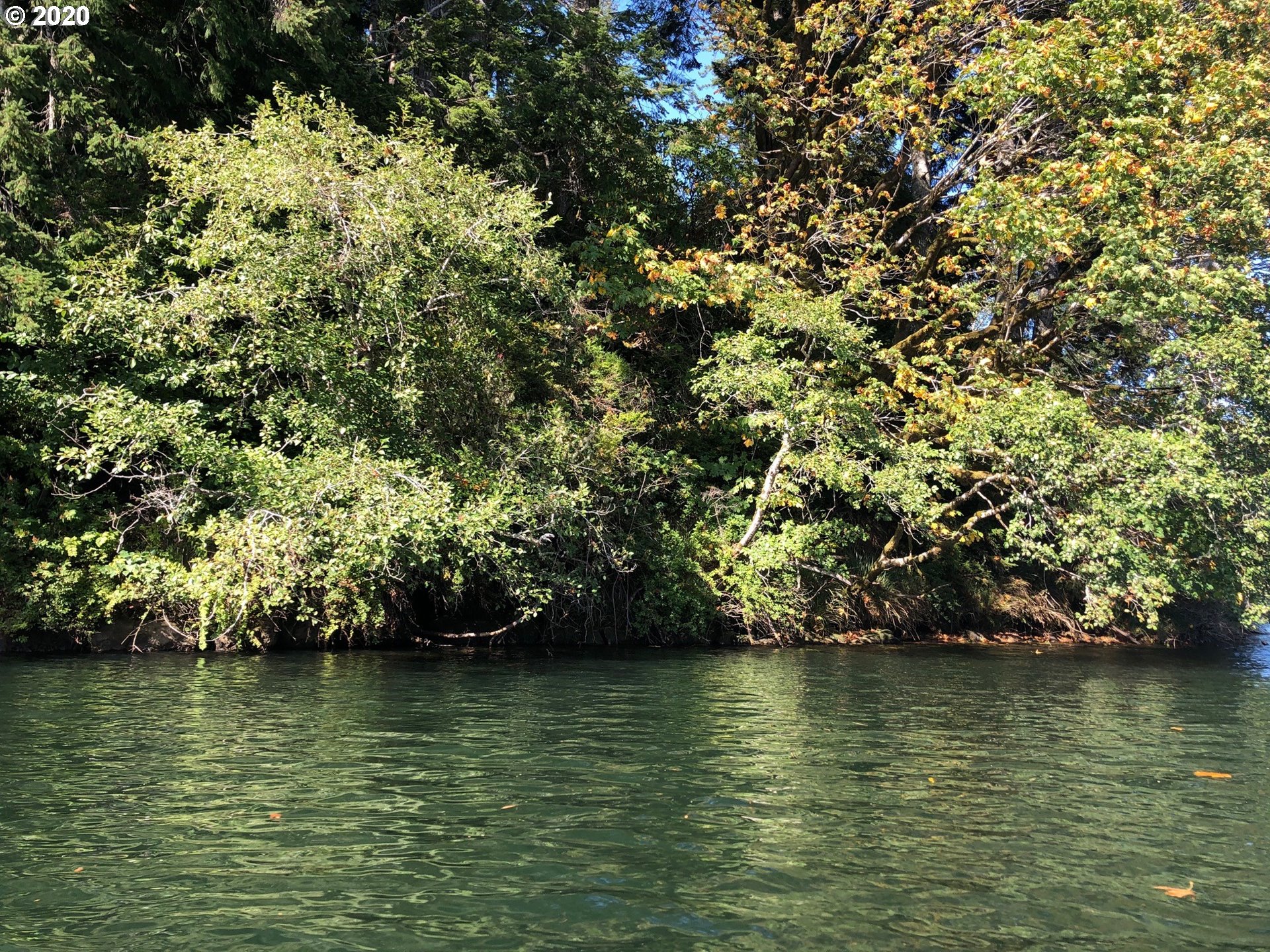 Mercer Lake Florence, OR 97439 - Photo 12 of 12 a view of ocean with trees