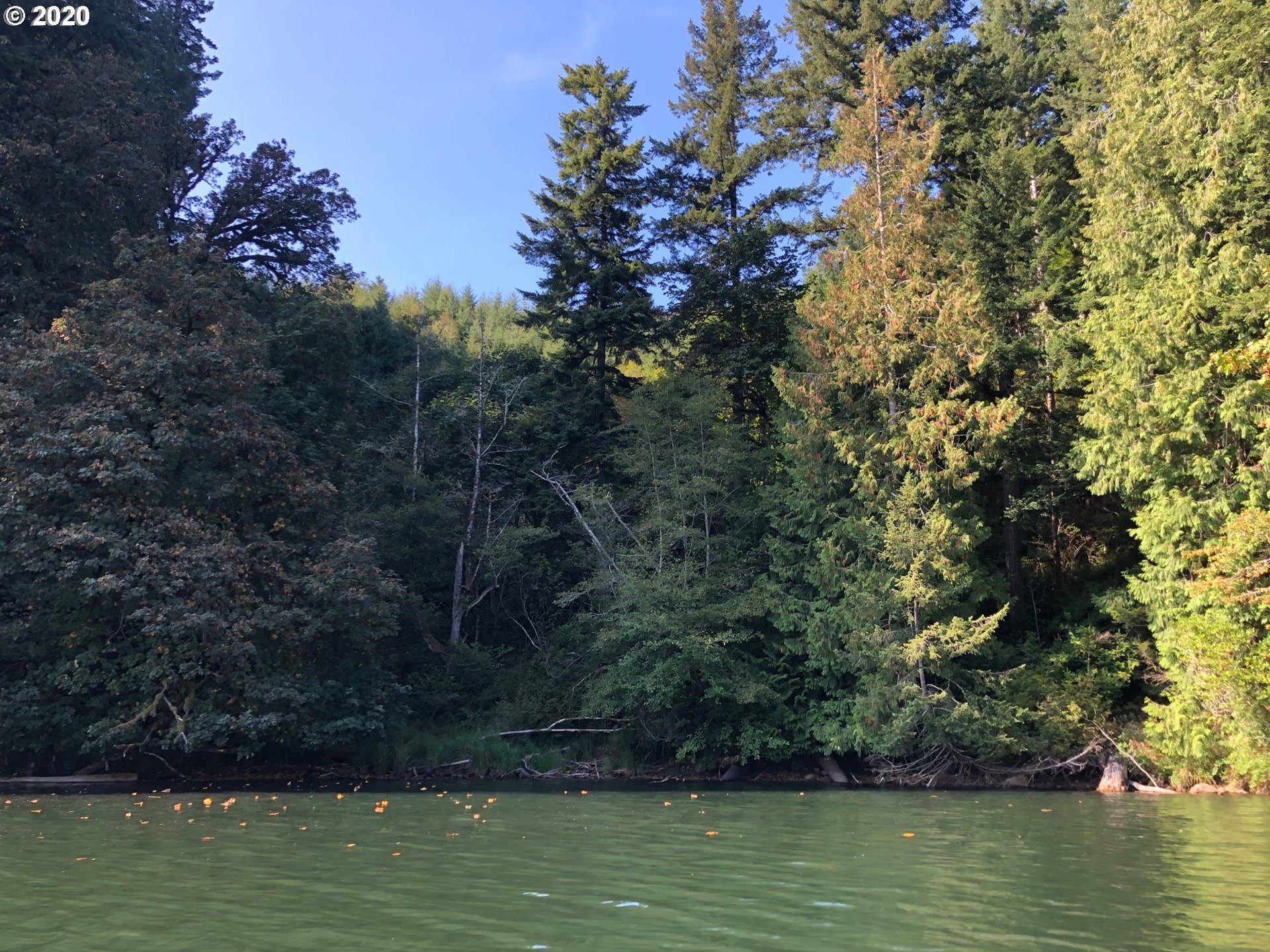 Mercer Lake Florence, OR 97439 - Photo 8 of 12 a view of lake with green space