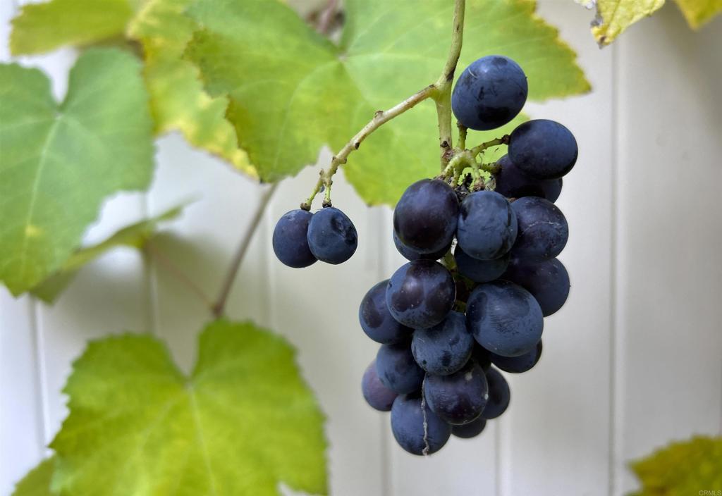 1677 Mission Meadow Drive Oceanside, CA 92057 - Photo 33 of 48