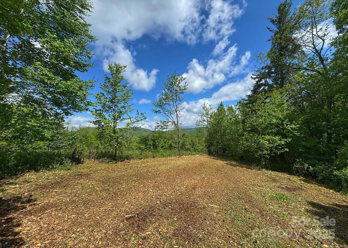 703 Coy Ham Road Lansing, NC 28643 - Photo 17 of 34