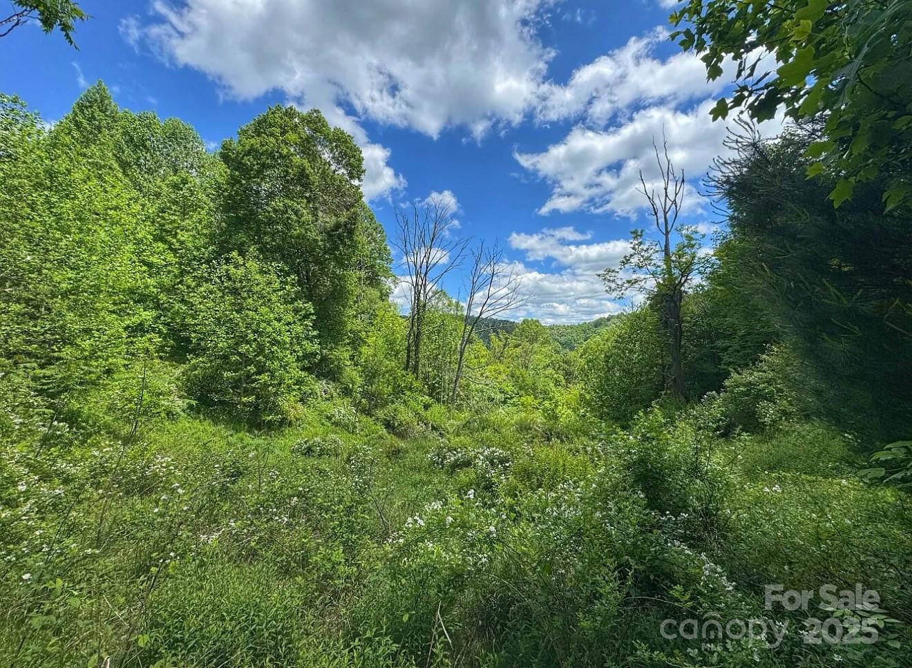 703 Coy Ham Road Lansing, NC 28643 - Photo 18 of 34