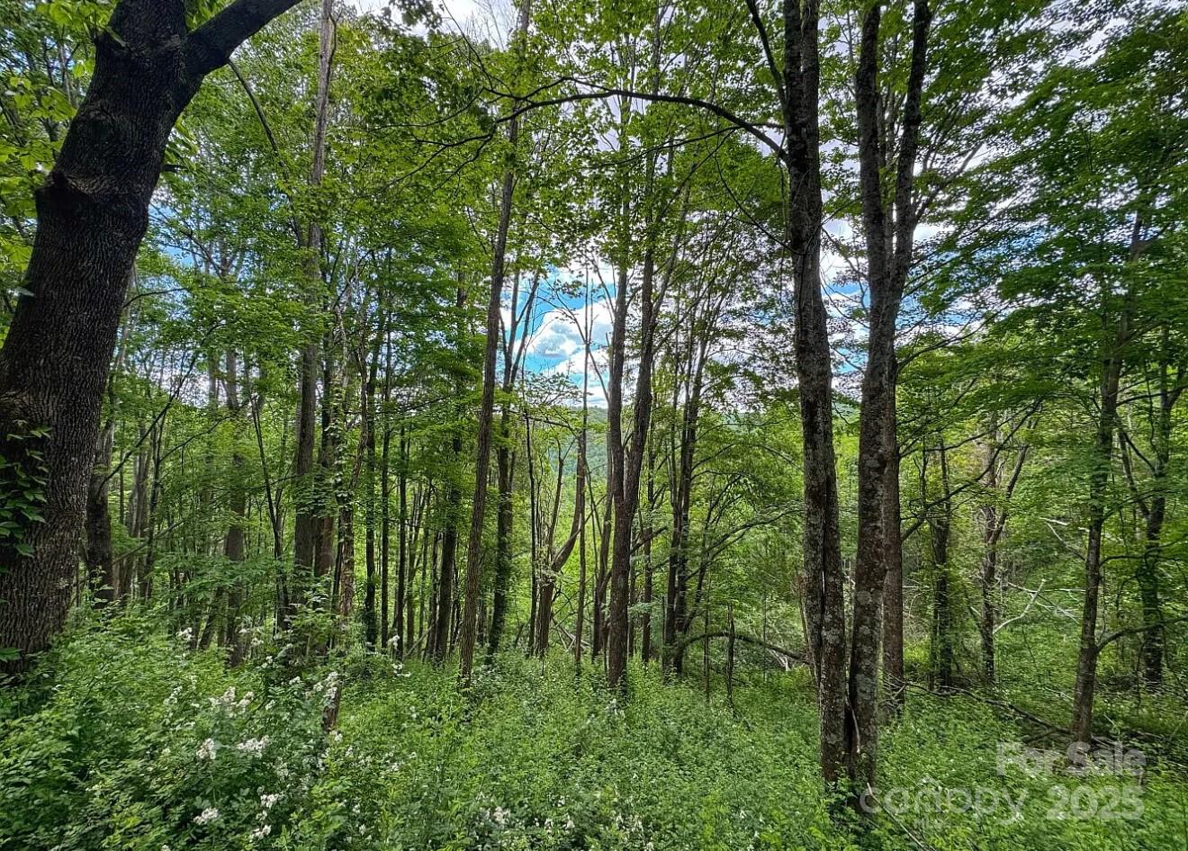 703 Coy Ham Road Lansing, NC 28643 - Photo 31 of 34