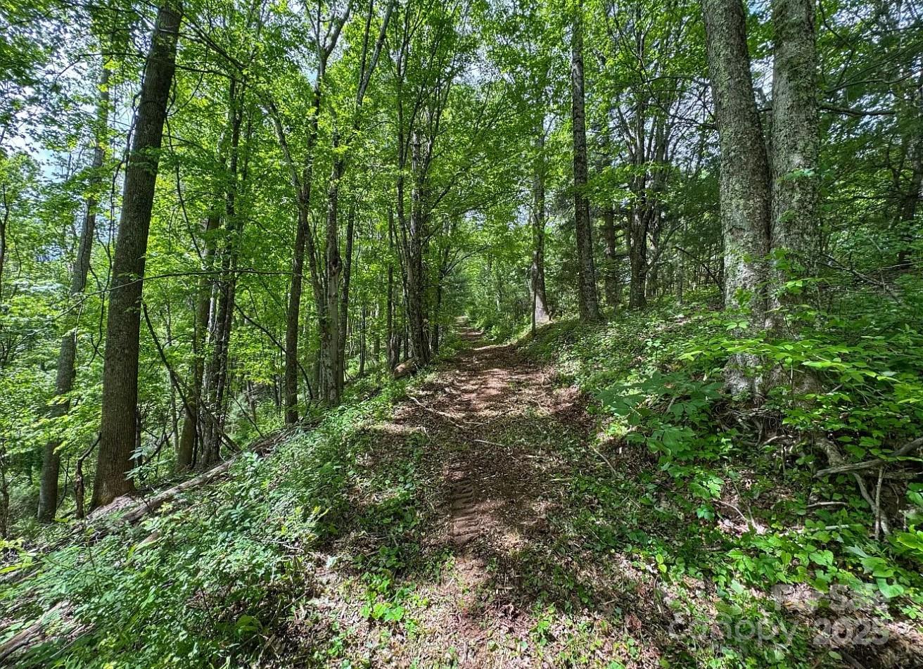 703 Coy Ham Road Lansing, NC 28643 - Photo 32 of 34