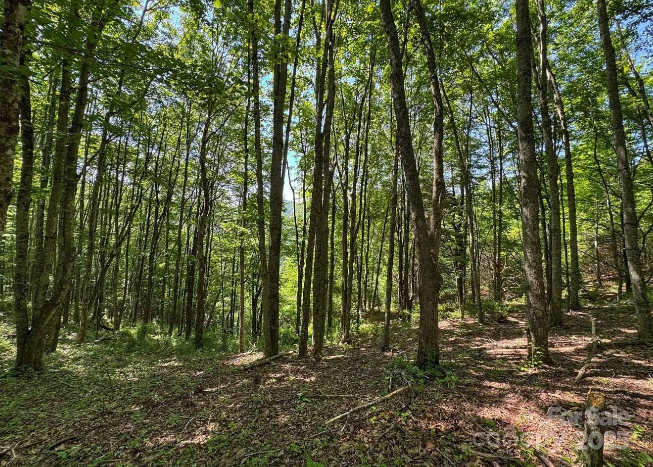 703 Coy Ham Road Lansing, NC 28643 - Photo 34 of 34