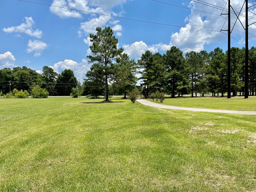 2944 Slab Landing Road Orangeburg, SC 29115 - Photo 7 of 32 Photo 7