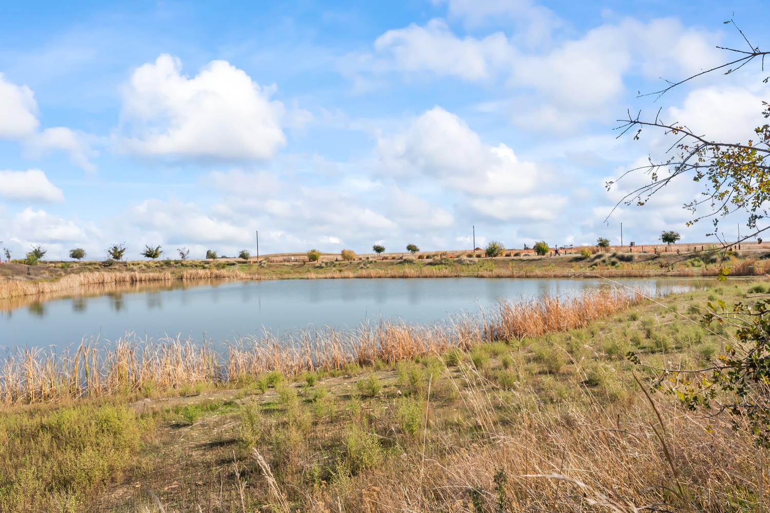 4156 Salt Point Way Rancho Cordova, CA 95742 - Photo 4 of 43 View from your home