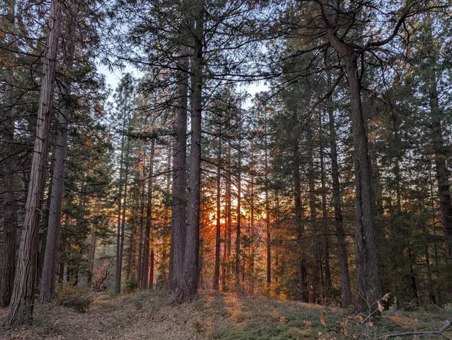 $140,000 | 3000 Moody Ridge Road, Gold Run, CA 95717