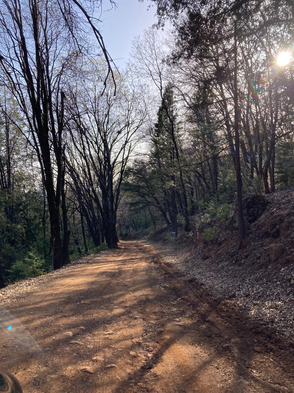 3000 Moody Ridge Road Gold Run, CA 95717 - Photo 5 of 10 a backyard of a house