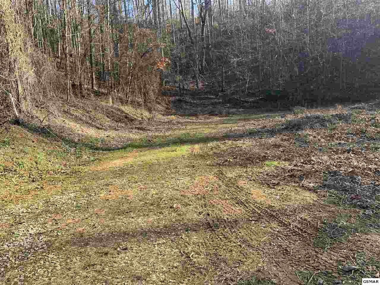 314 Hickey Road Sevierville, TN 37876 - Photo 19 of 36