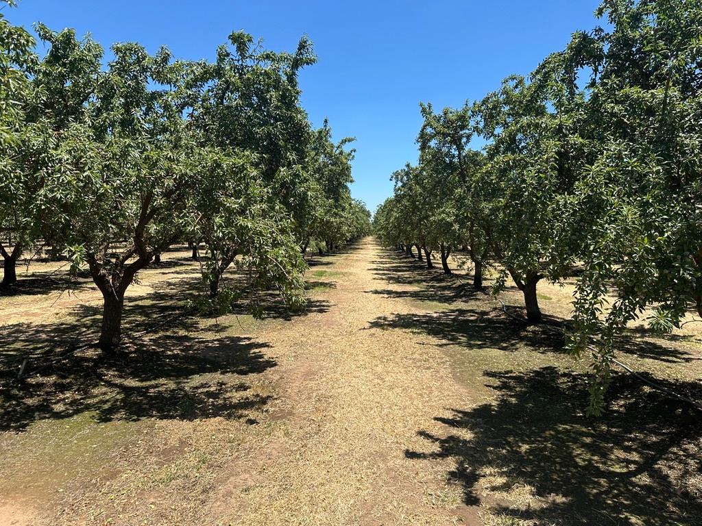 12400 East Keyes Road Denair, CA 95316 - Photo 20 of 29