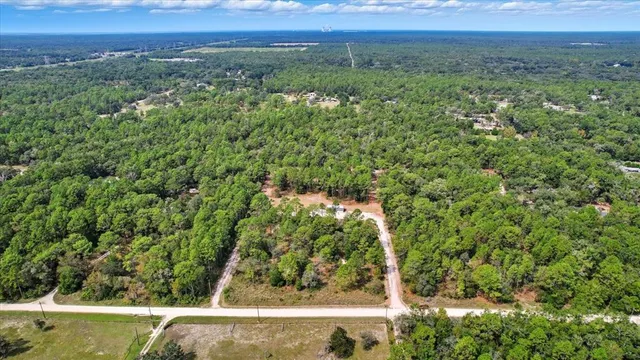 a view of a green field with lots of bushes