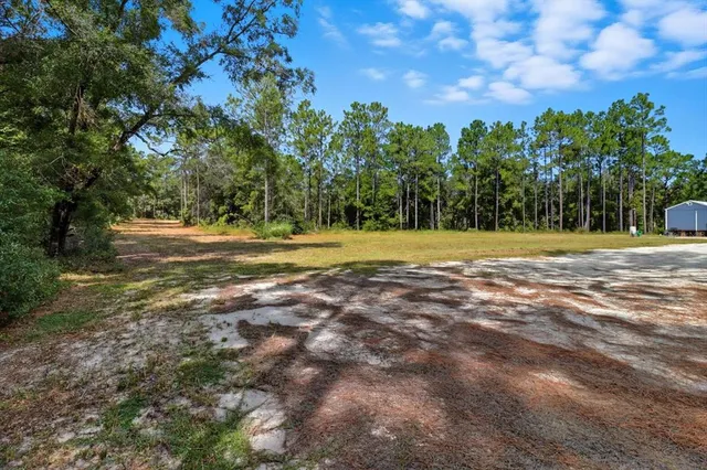 a view of a yard with a tree