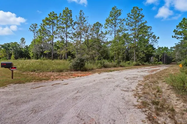 a view of a field with trees in the background