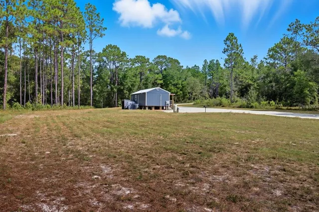 a big yard with trees