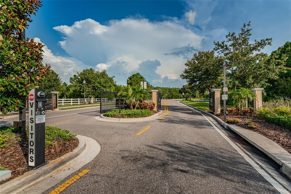 1345 Halapa Way Trinity, FL 34655 - Photo 82 of 93