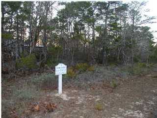 0 Acacia Street Santa Rosa Beach, FL 32459 - Photo 1 of 1 a flag is sitting in the middle of forest