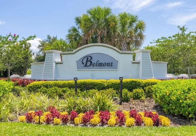 a view of a bunch of flowers