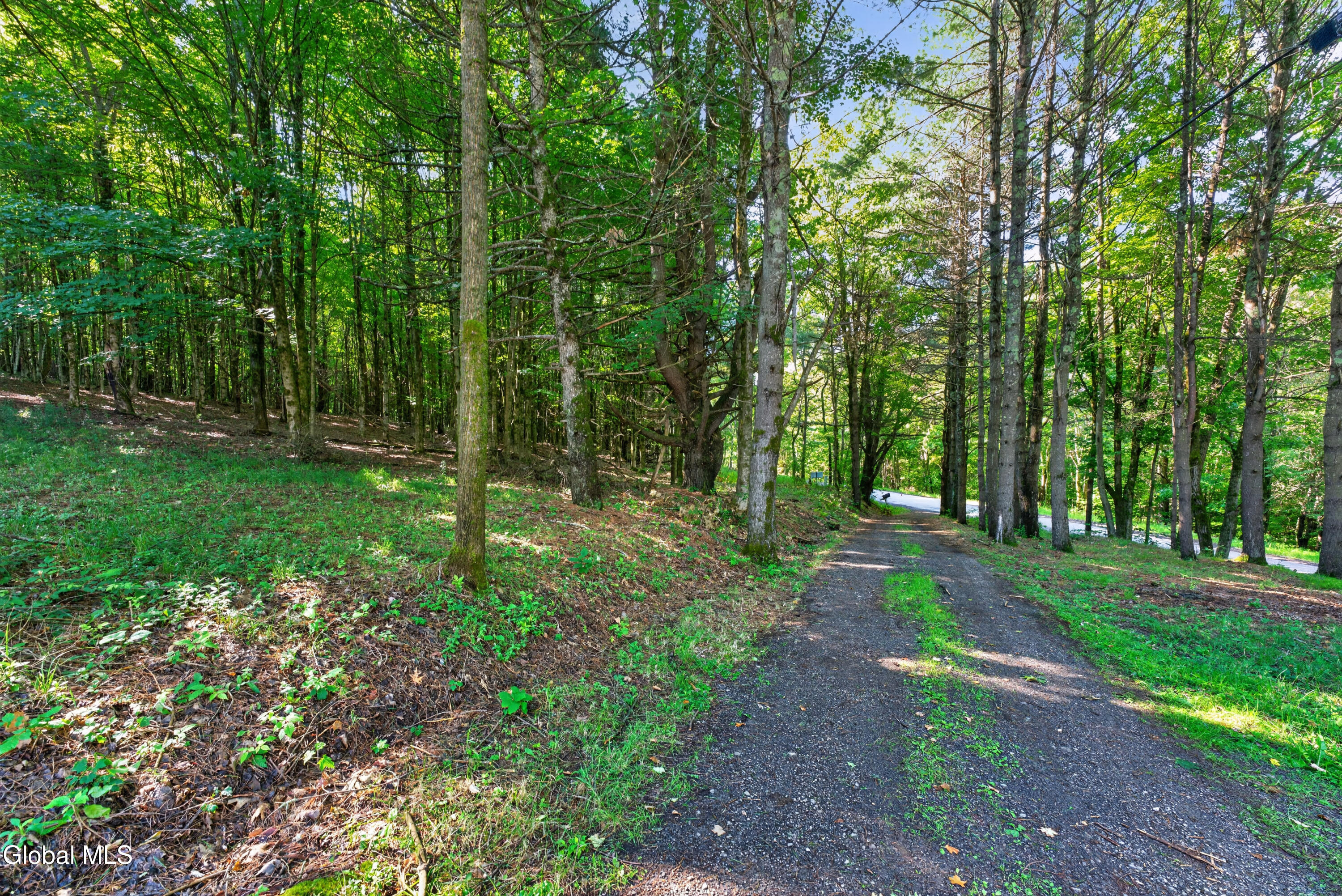 522 Konchar Road Maryland, NY 12116 - Photo 54 of 54 Yard 14