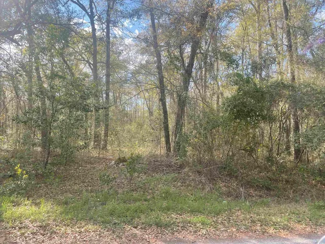 $21,000 | Tbd Senior Road, Kingstree, SC 29556