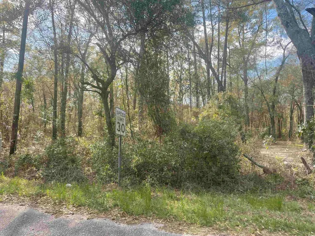 $21,000 | Tbd Senior Road, Kingstree, SC 29556