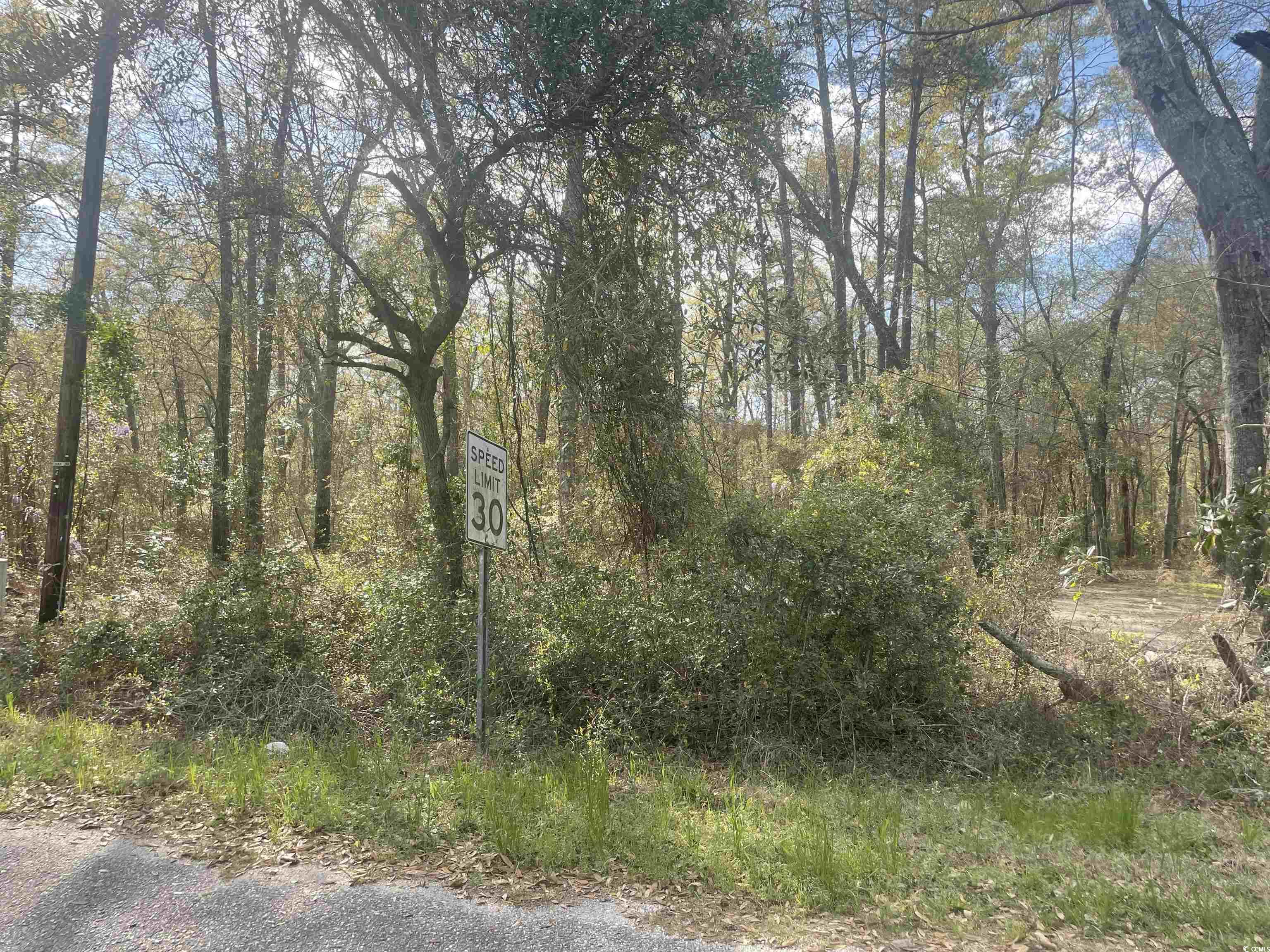 Tbd Senior Road Kingstree, SC 29556 - Photo 3 of 4