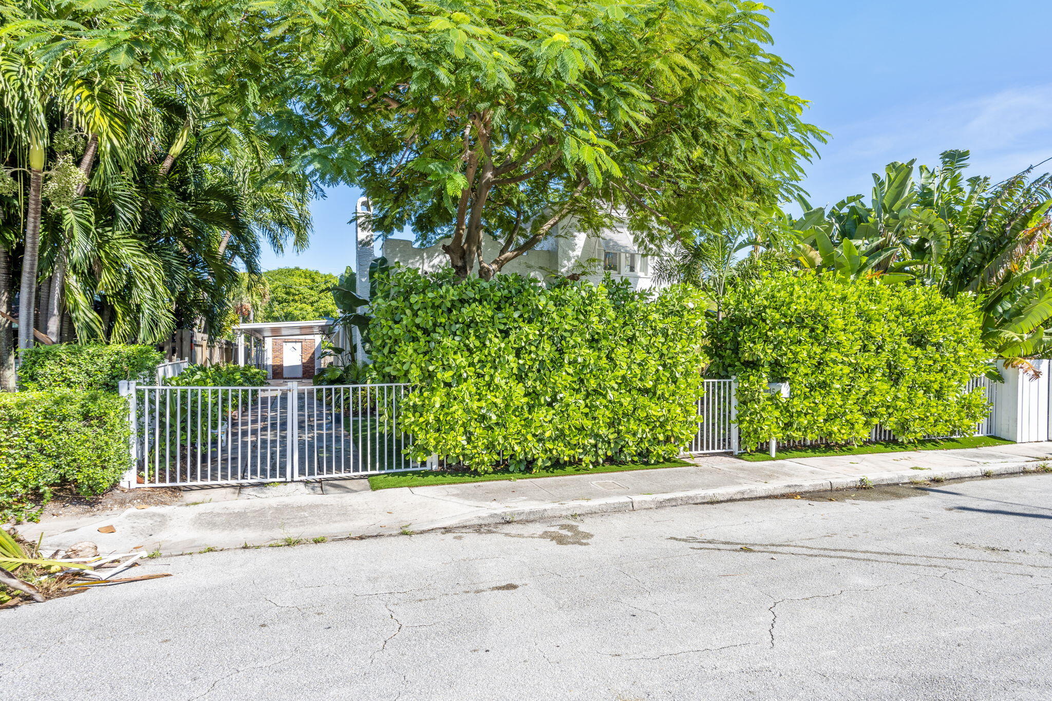 715 Kaye Street West Palm Beach, FL 33405 - Photo 10 of 40 a view of a garden with a small yard