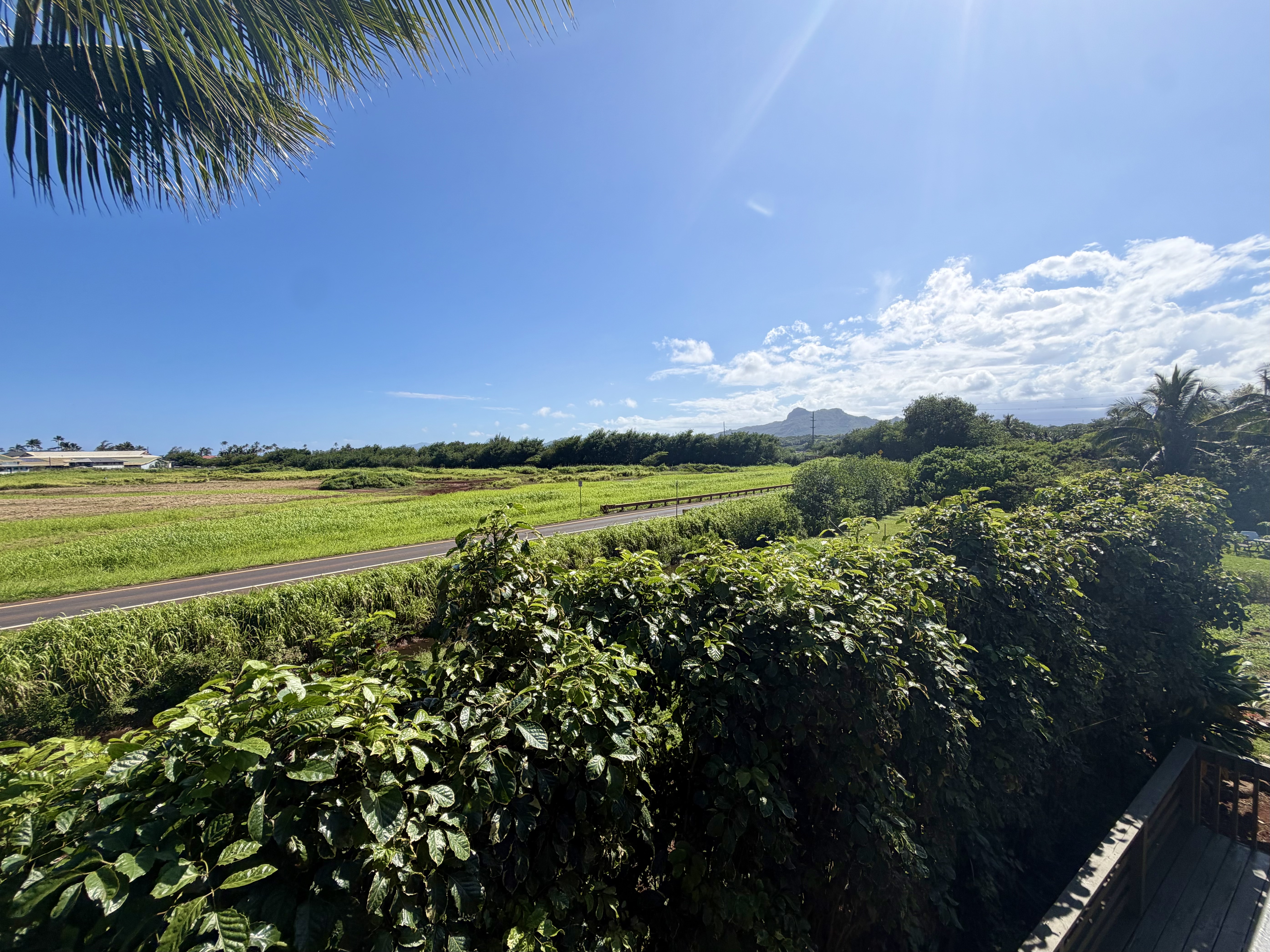 4601 Hauaala Road Kapaa, HI 96746 - Photo 27 of 30