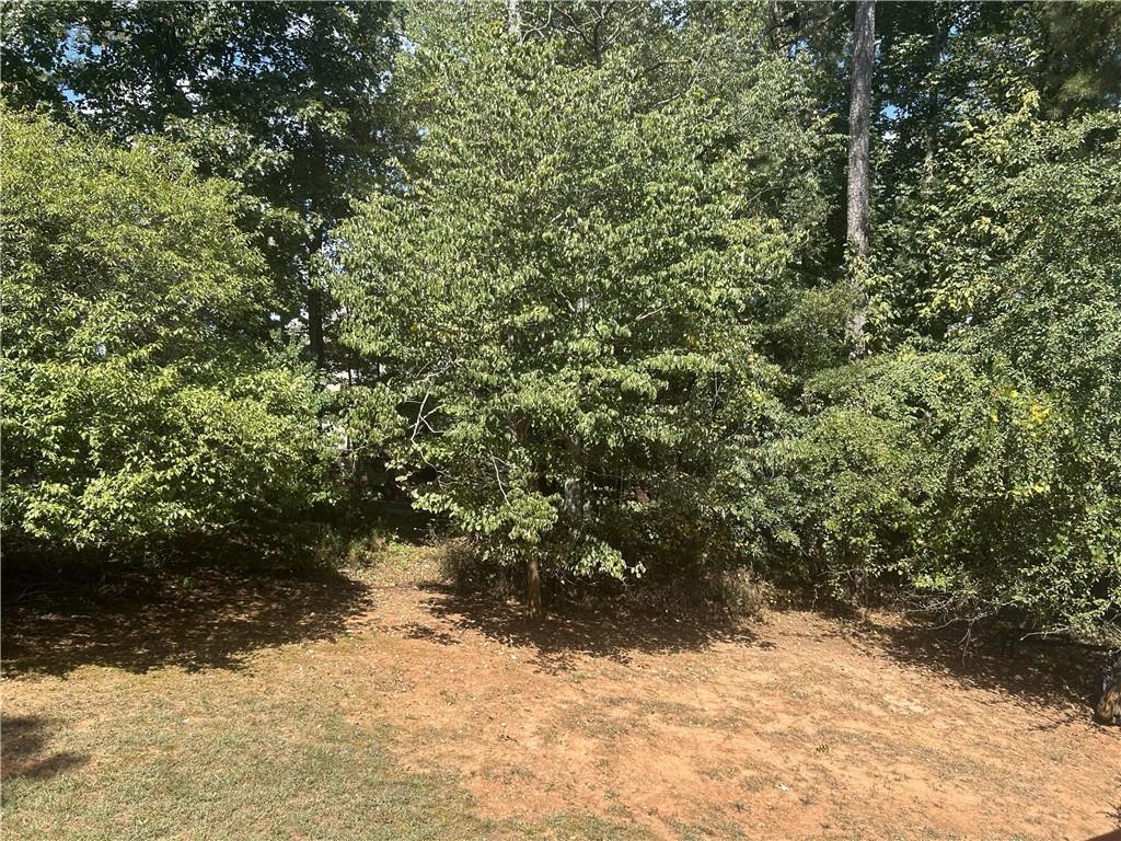 1273 Channel Park Southwest Marietta, GA 30064 - Photo 56 of 69 a view of a yard with trees