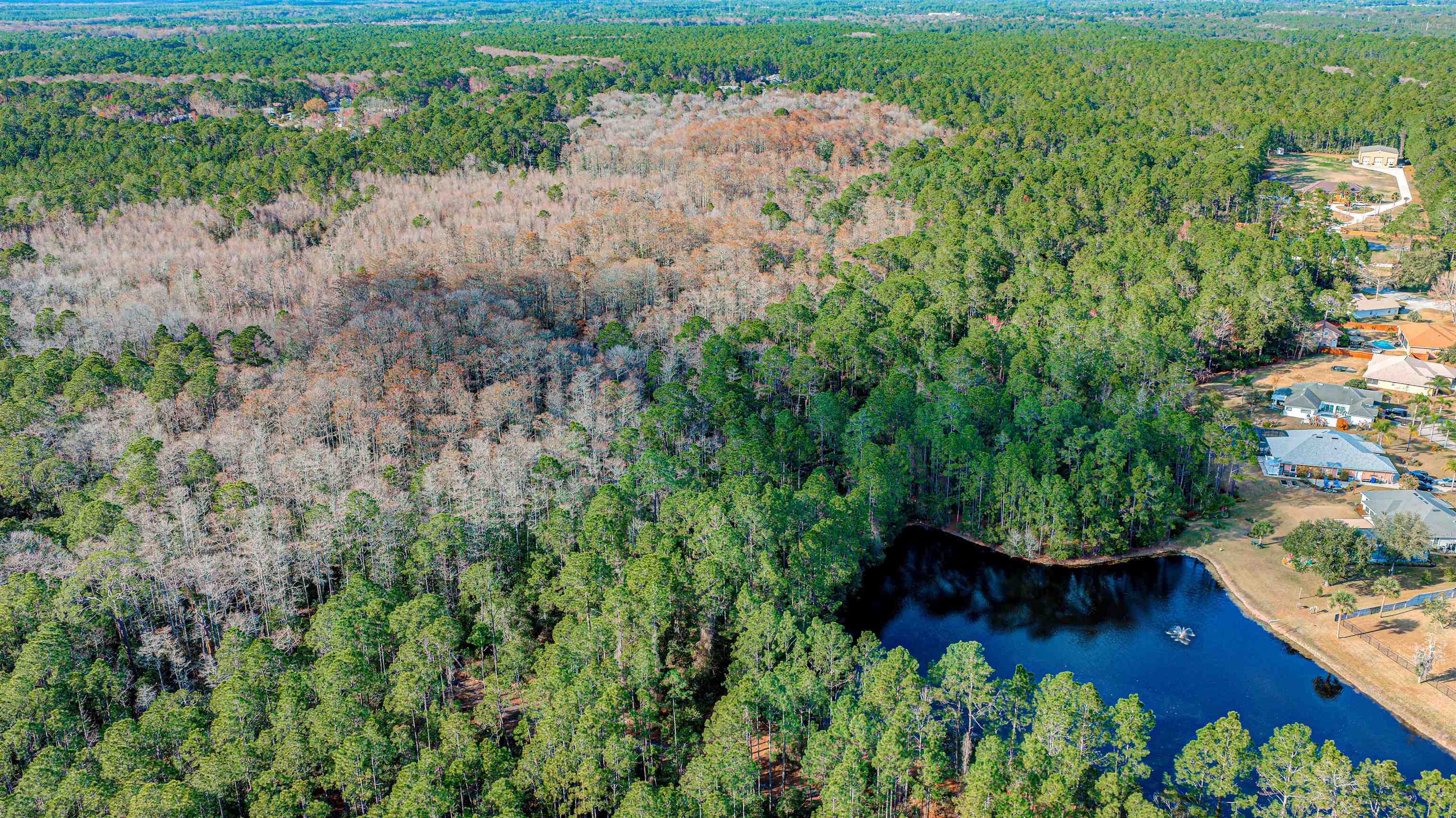 206 E Street St. Augustine, FL 32080 - Photo 13 of 24 an aerial view of a house with a yard