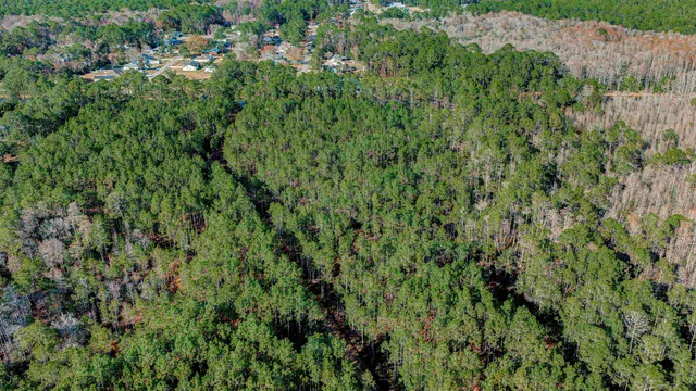 $6,500,000 | 206 E Street, St. Augustine, FL 32080