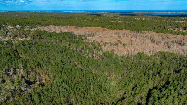 $6,500,000 | 206 E Street, St. Augustine, FL 32080