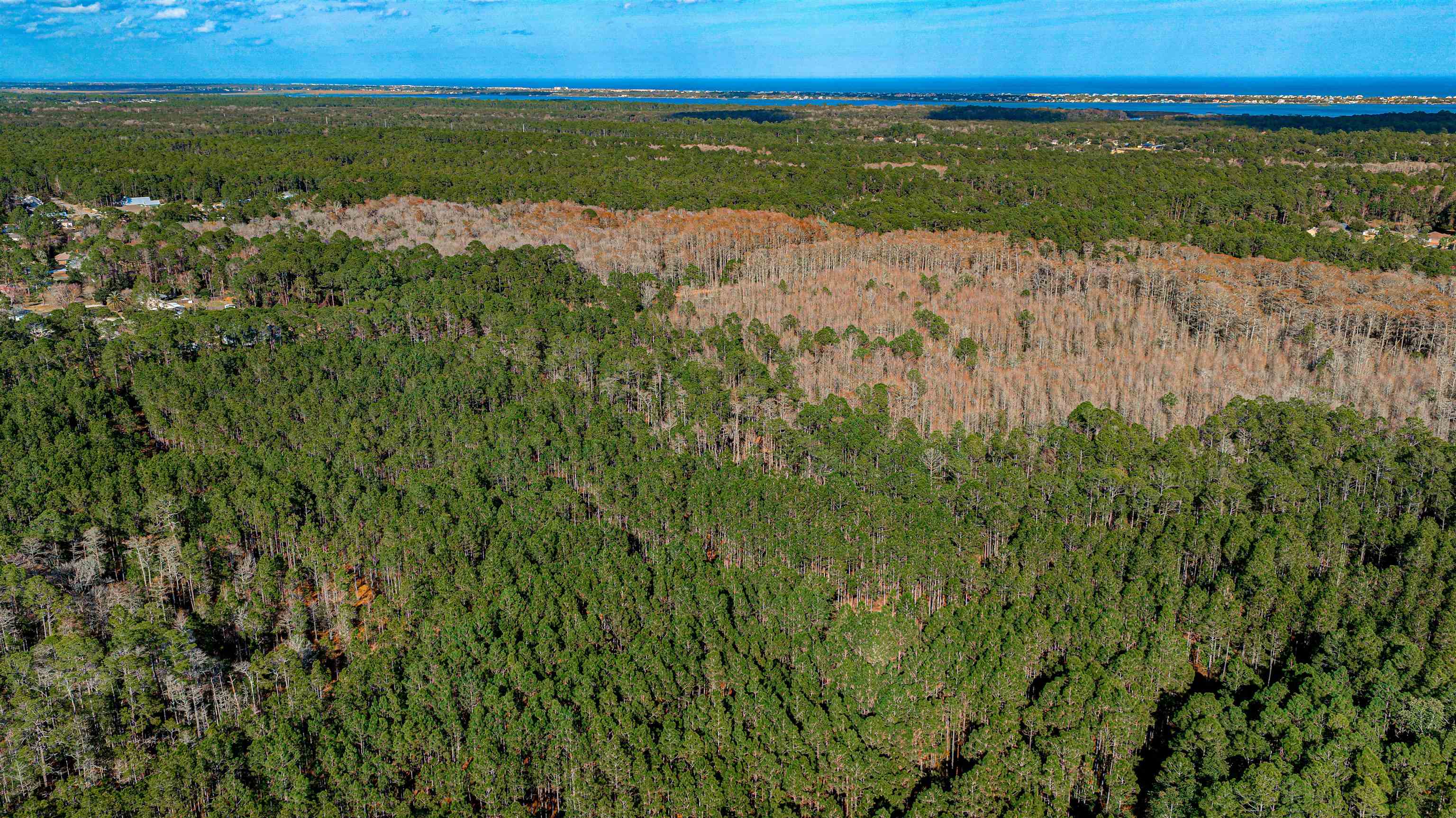 206 E Street St. Augustine, FL 32080 - Photo 17 of 24 a view of lake with beach