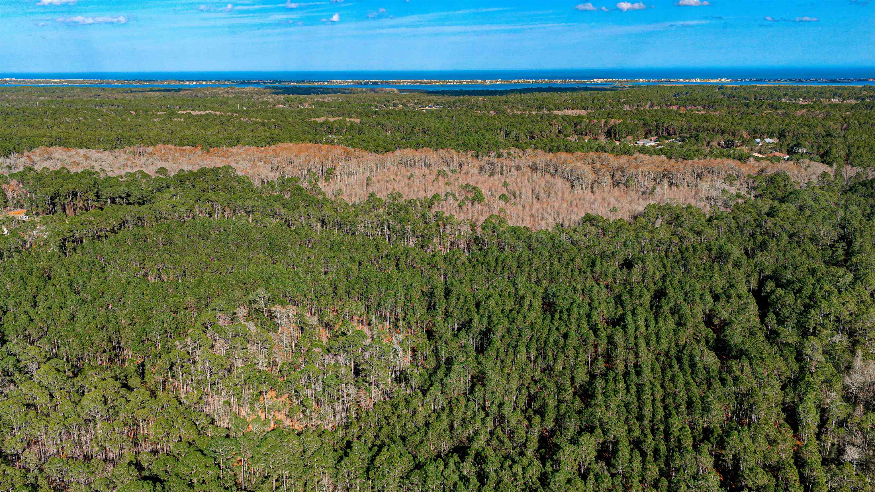 206 E Street St. Augustine, FL 32080 - Photo 18 of 24 a view of lake with green space