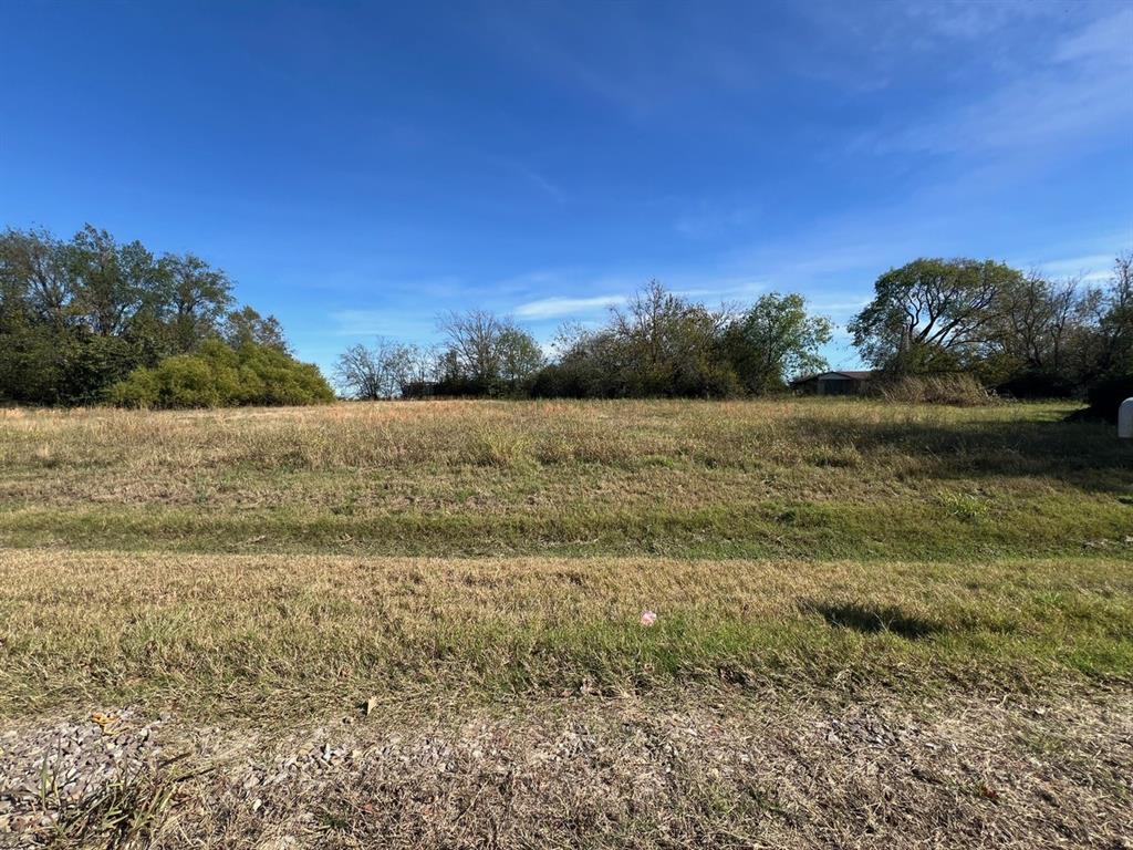 900 North Tbd Farm Road Saltillo, TX 75478 - Photo 11 of 26 View of landscape with a rural view
