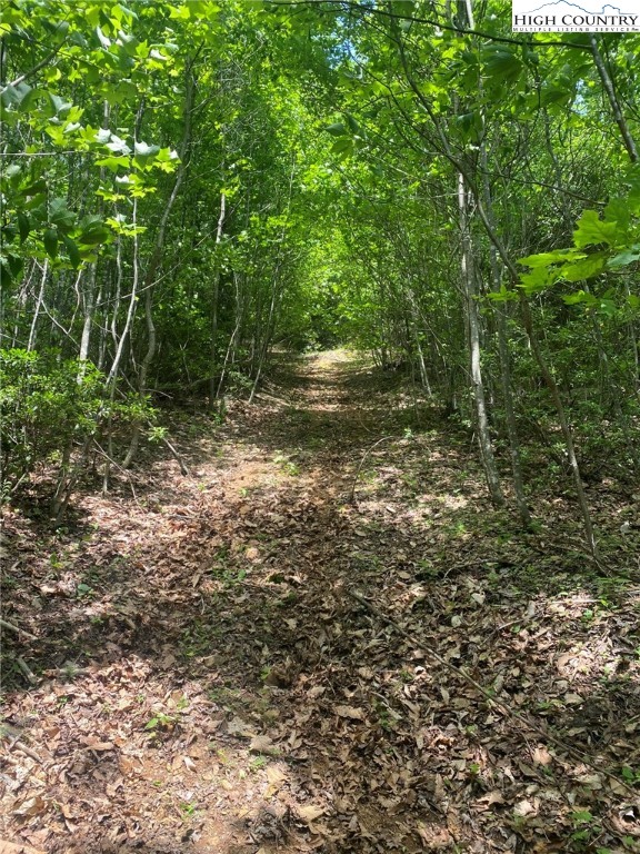 East Mill Creek Road Todd, NC 28684 - Photo 3 of 6 Gallery Image 3