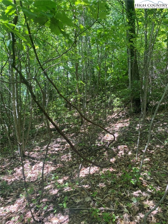 East Mill Creek Road Todd, NC 28684 - Photo 6 of 6 Gallery Image 6