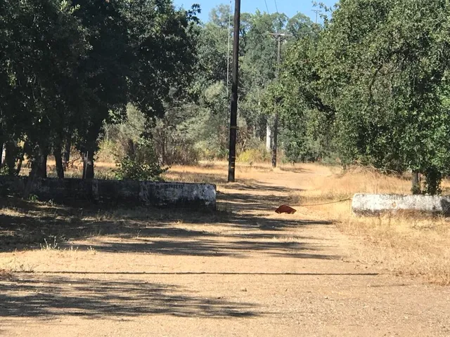 $300,000 | 948-950 Hawley Road, Redding, CA 96003