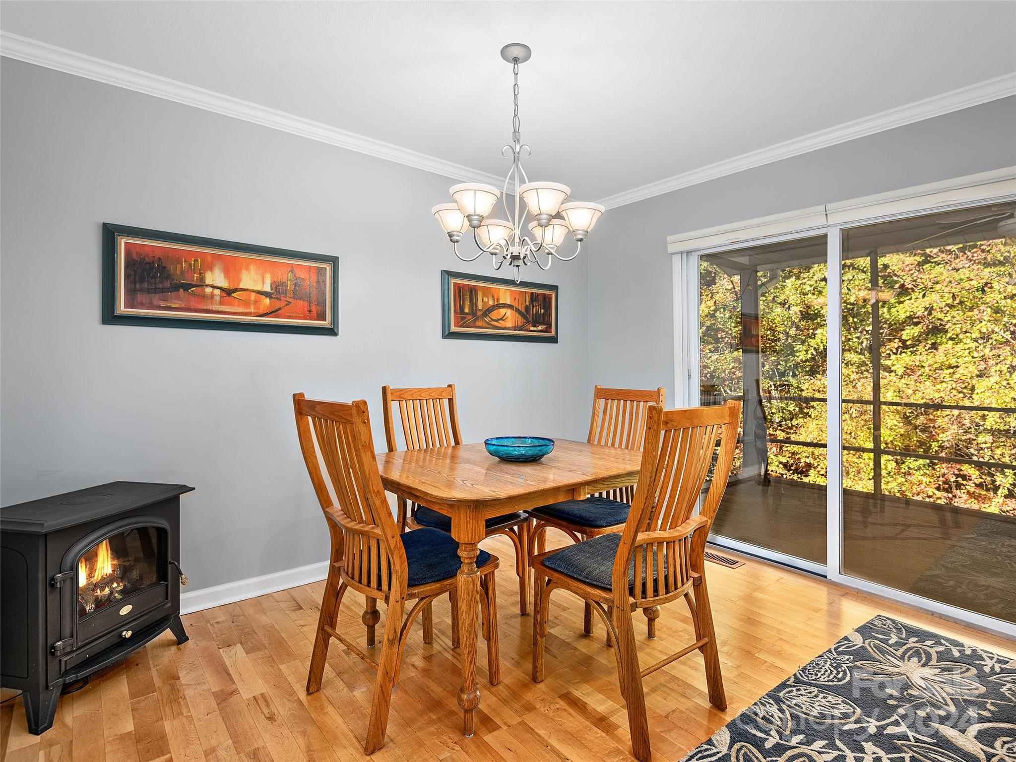 303 Winfield Cove Road Saluda, NC 28773 - Photo 6 of 25 Gallery Image 6