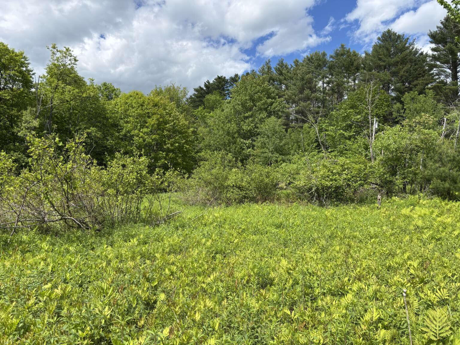 Lot A River Road Leeds, ME 04263 - Photo 8 of 19 Sargent.8
